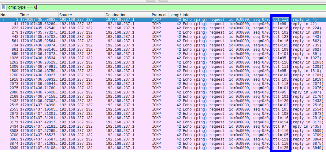 ICMP ping packets